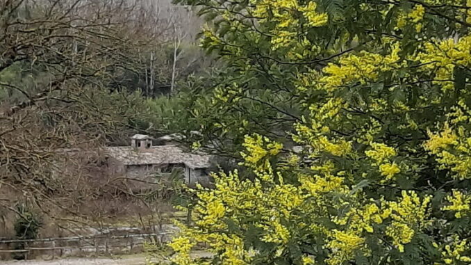 L’8 marzo il Parco Benessere e Salute de “La Selva di Paliano” riapre al pubblico paliano