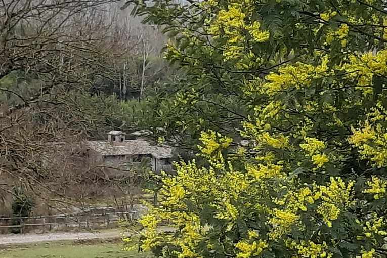 L’8 marzo il Parco Benessere e Salute de “La Selva di Paliano” riapre al pubblico paliano