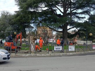 Ambiente a Ciampino, l’Amministrazione dialoga con i cittadini sul programma di abbattimenti di alberi in Città Ciampino