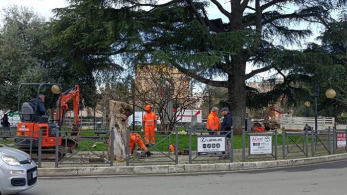 Ambiente a Ciampino, l’Amministrazione dialoga con i cittadini sul programma di abbattimenti di alberi in Città Ciampino