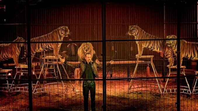 circus5