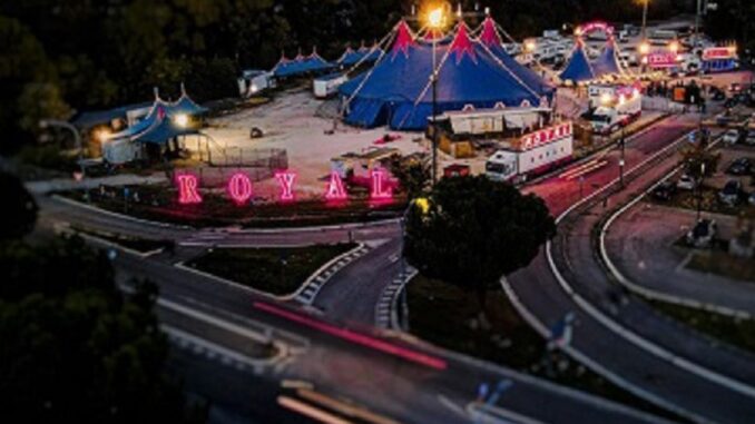 circus8 molfetta