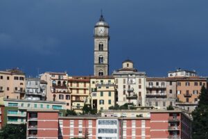 Frosinone, Scaccia: "Monitoraggio e cura patrimonio arboreo per la sicurezza di tutti"