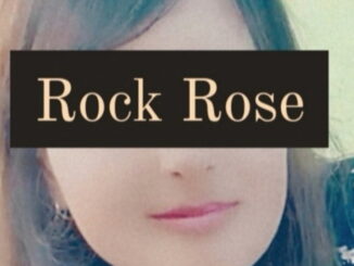 Rock Rose