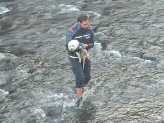 Maltese scivolato in un torrente salvato da un poliziotto locale Maltese