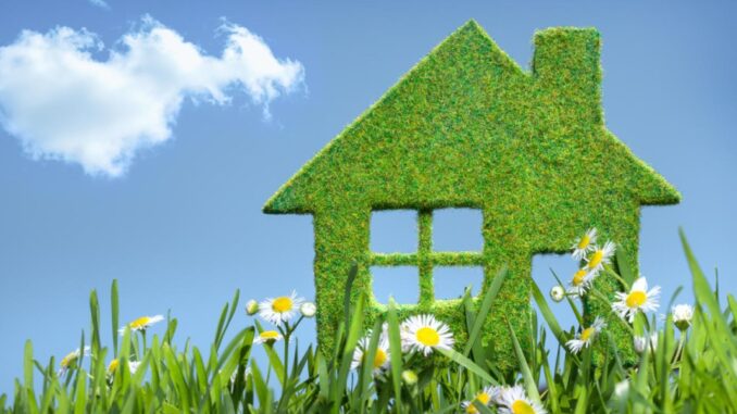 casa_green green