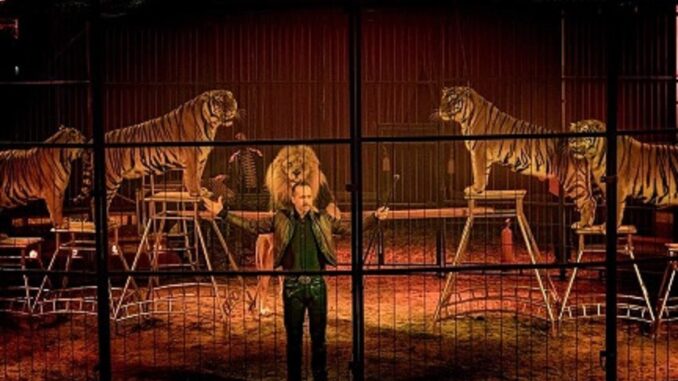 circus5 lanciano
