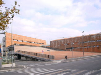 Fiumicino, Fortini (Demos): "Cutolo sindaco? La notizia mi lascia piuttosto perplesso" Fiumicino