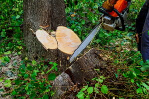cutting trees