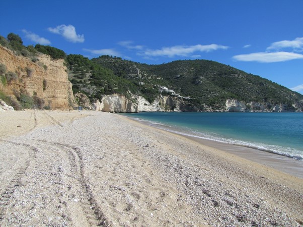 Puglia: le spiagge da visitare nelle vacanze 2023 Puglia: le spiagge da visitare nelle vacanze 2023