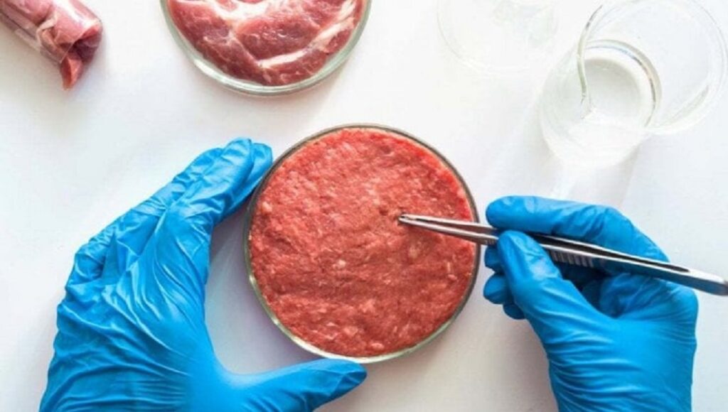 Fao, Coldiretti: dalle allergie al cancro, i rischi del cibo sintetico cibo
