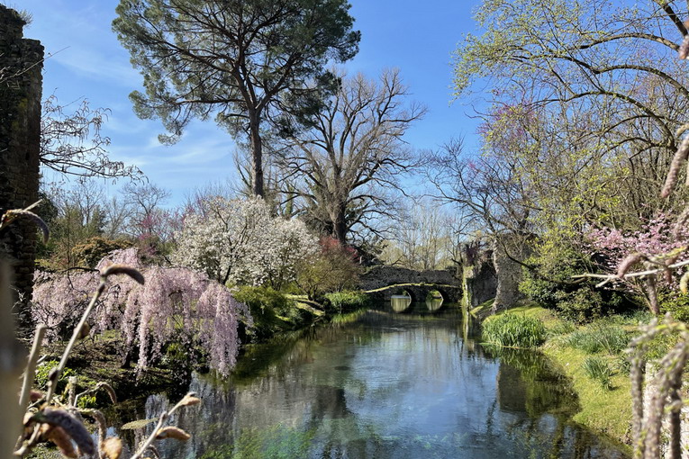 Cisterna di Latina, presto intesa tra Comune e Giardino di Ninfaper progetti e collaborazioni Cisterna di Latina, presto intesa tra Comune e Giardino di Ninfaper progetti e collaborazioni