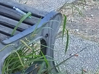 Municipio X, Ieva, Di Pillo, Paoletti (M5S): “Parco delle Sughere in forte stato di degrado" Municipio X, Ieva, Di Pillo, Paoletti (M5S): “Parco delle Sughere in forte stato di degrado"