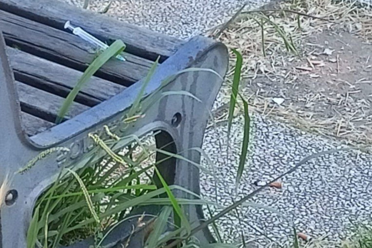 Municipio X, Ieva, Di Pillo, Paoletti (M5S): “Parco delle Sughere in forte stato di degrado" Municipio X, Ieva, Di Pillo, Paoletti (M5S): “Parco delle Sughere in forte stato di degrado"