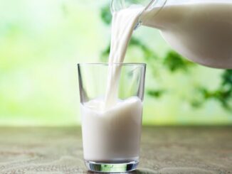 Giornata Latte, Coldiretti: arriva quello sintetico, no da 3 italiani su 4 latte