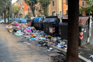Roma, Casini-Leoncini (IV): "Tari: tariffe rifiuti inique, ancora criticità su decoro e pulizia città"