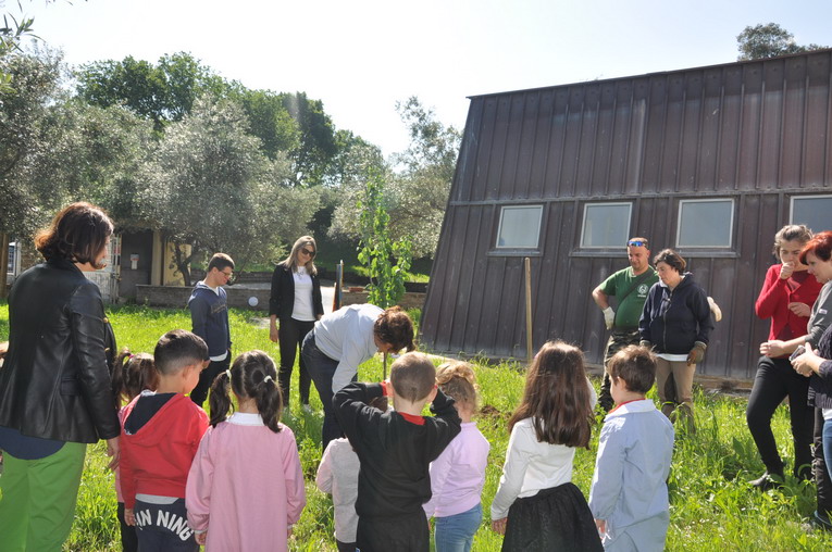 Viterbo, tre nuovi alberi nel giardino della scuola materna di Tobia Viterbo, tre nuovi alberi nel giardino della scuola materna di Tobia