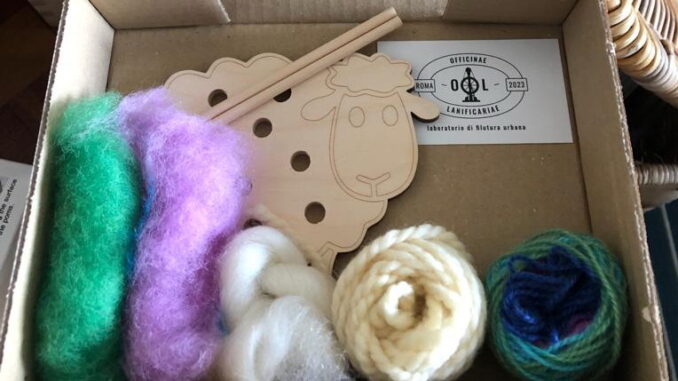 L'originale kit pecorella da vestire