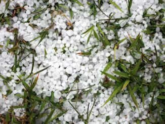 Maltempo, Coldiretti: 3 bombe d’acqua ogni ora sull’Italia coldiretti