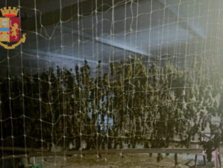 Anzio, scoperto capannone per l'essiccazione e la lavorazione della marijuana Anzio