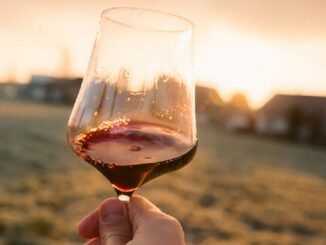Coldiretti, triplicate in 20 anni le esportazioni di vino italiano