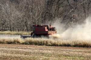 Maggiorazione del 30% di carburante agricolo per l’irrigazione, domande all’ufficio UMA di Cisterna di Latina