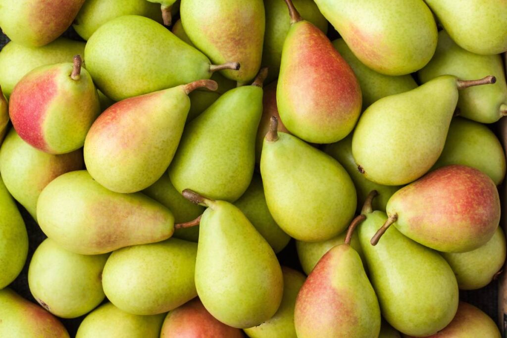 Made in Italy, Coldiretti: via libera alle pere italiane in Cina coldiretti