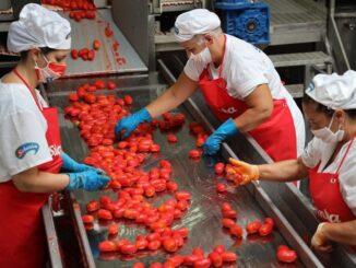 Pil, Coldiretti: record cibo italiano, +14% export nel 2024