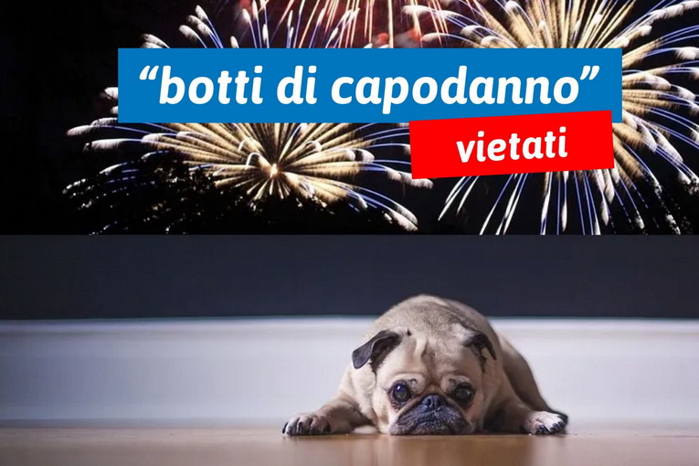 Fiumicino, vietati i botti per la notte di San Silvestro Fiumicino