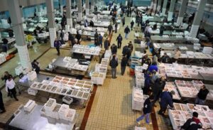 mercato ittico lavoro pesce cibo