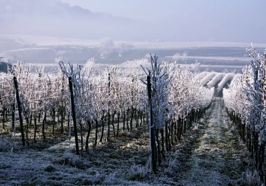 Meteo, arriva la perturbazione atlantica: pioggia, temporali e neve in montagna Meteo, arriva la perturbazione atlantica: pioggia, temporali e neve in montagna