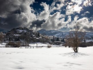 Maltempo, Coldiretti: Italia divisa tra gelo e siccità, SOS campi