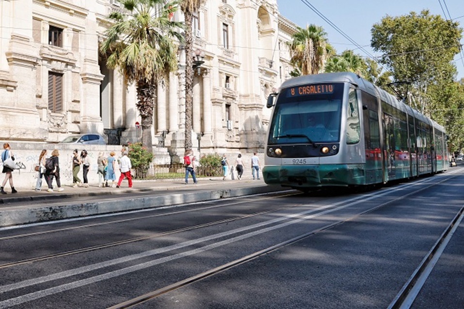 linea