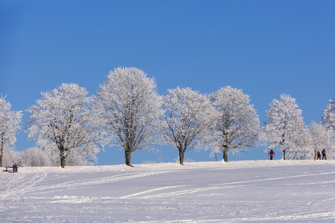 neve