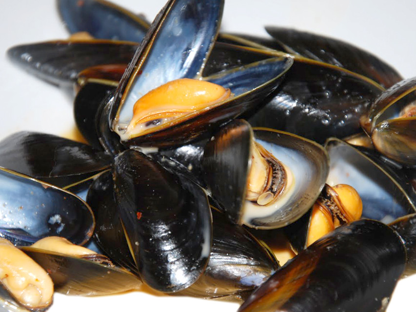 cozze