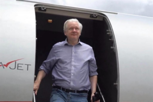 Julian Assange Libero