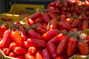san marzano