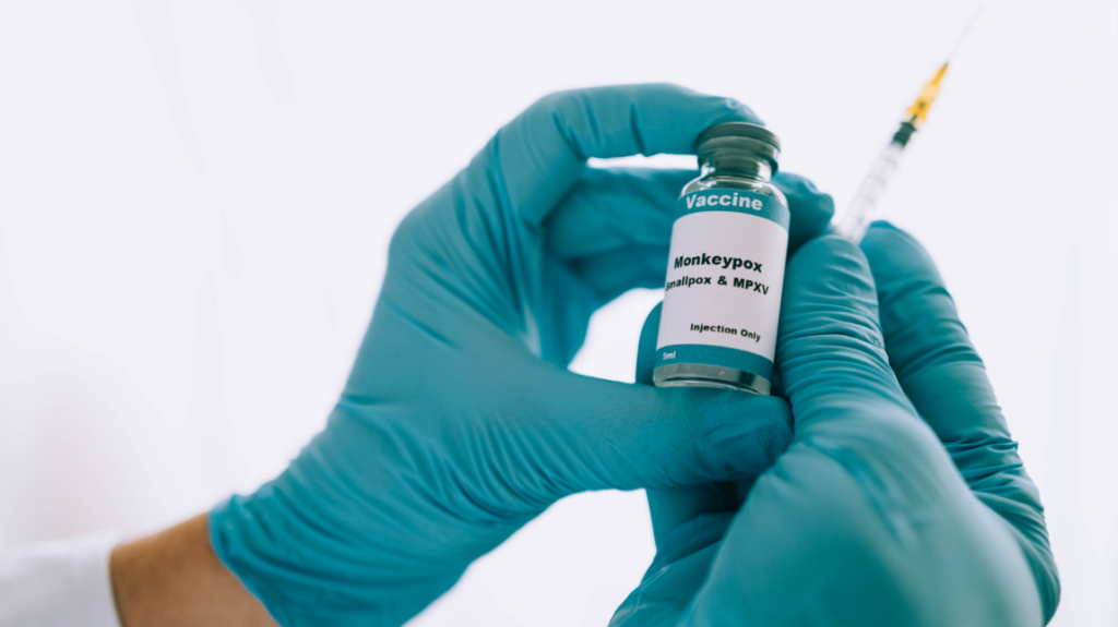 Vaiolo delle scimmie, situazione epidemiologica sotto controllo in Italia scimmie