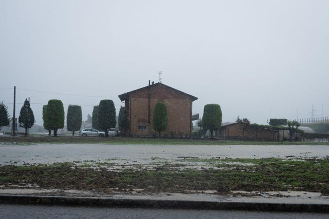 coldiretti
