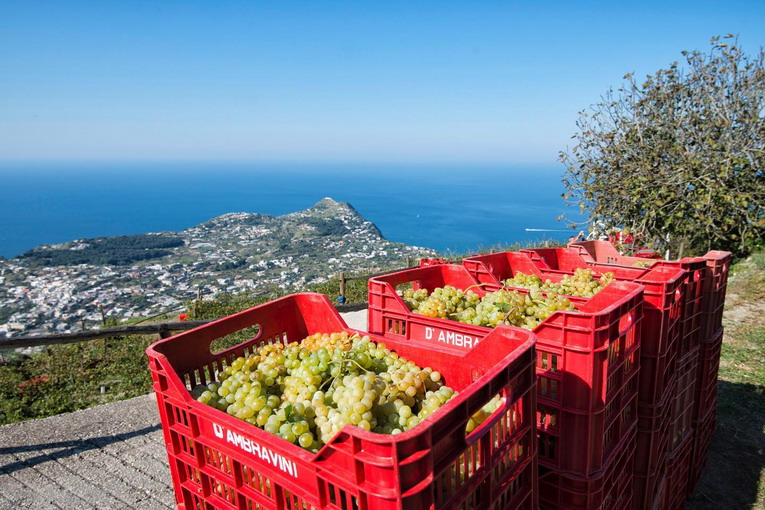 Vacanze fuori stagione, Coldiretti: "Undici milioni di presenze in campagna" Vacanze