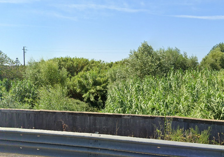 fiume arrone maccarese