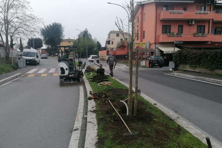 Aranova, nuovo intervento di riqualificazione verde su via Michele Rosi