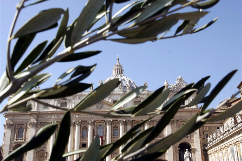 Oggi è la domenica delle palme, ma cosa c’entra l’ulivo? palme