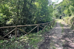 Vitorchiano, in corso la sistemazione delle staccionate delle piagge
