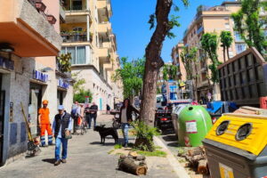Monteverde, Potere al Popolo: "Giù le mani dell'amministrazione Gualtieri dal patrimonio verde della città"