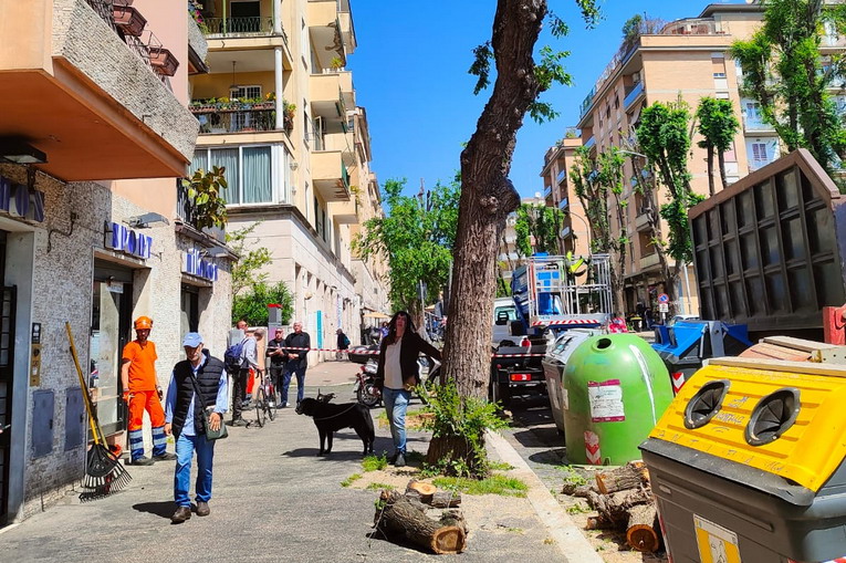 Monteverde, Potere al Popolo: “Giù le mani dell’amministrazione Gualtieri dal patrimonio verde della città”