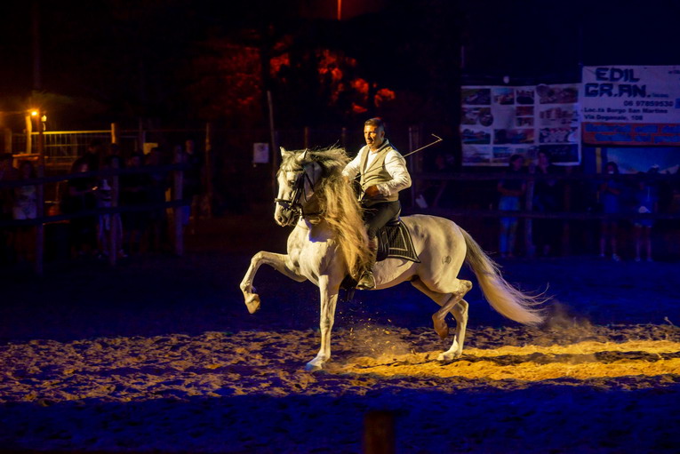 A Borgo San Martino torna la “Festa della Maremma” e i suoi grandiosi spettacoli equestri