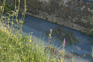 Isola del Liri, acqua blu: avviate le procedure di verifica e controllo