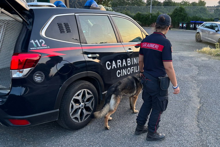 Ardea, week end di controlli del territorio da parte dei carabinieri