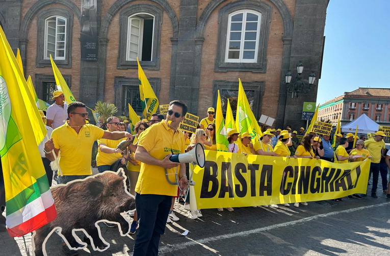 Coldiretti Caserta, incontro in Regione a fine mese per contrastare la fauna selvatica